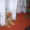Endy